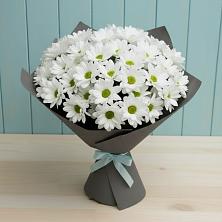 Букет цветов из:  Хризантемы в Решетниково