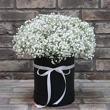 Цветочная композиция из Гипсофила в шляпной коробке в Решетниково